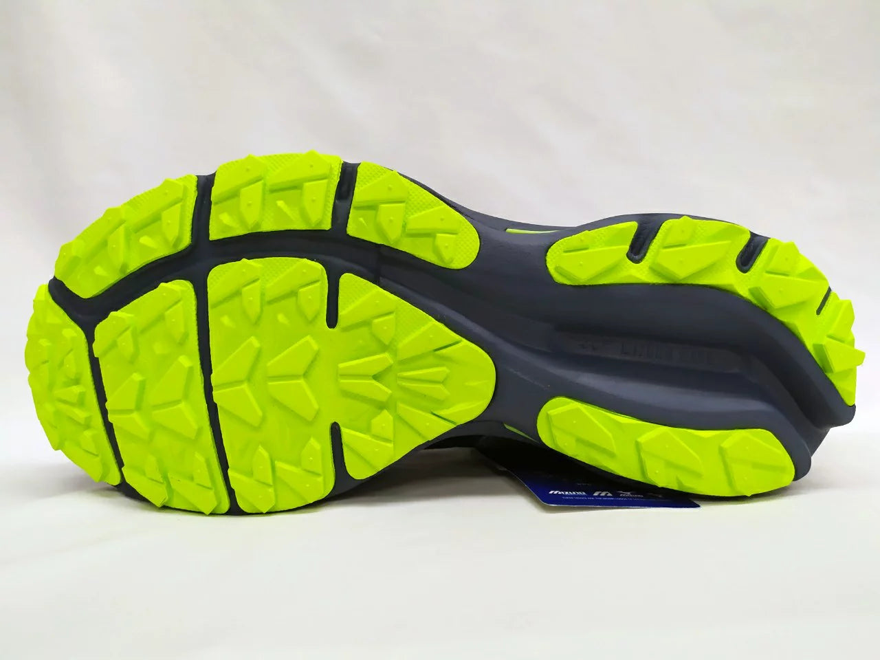 Дамски маратонки за бягане Mizuno Wave Rider GTX